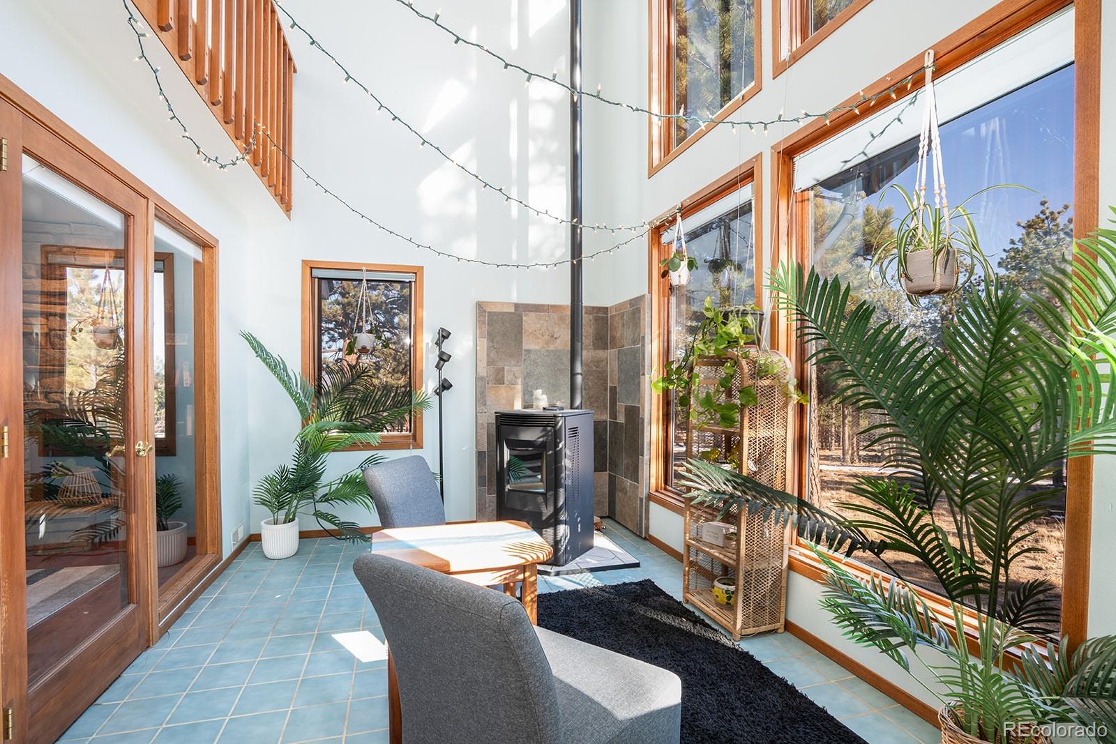 16670  Mt Princeton Road, buena vista&nbsp; House Search MLS Picture