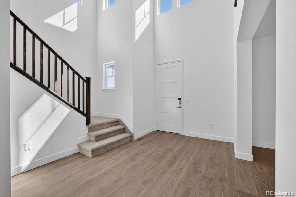 4063  Descent Street, castle rock&nbsp; House Search MLS Picture