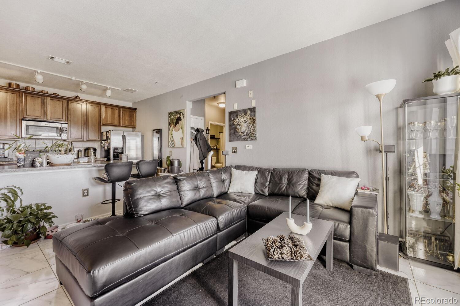 2682 S Cathay Way, aurora&nbsp; House Search MLS Picture