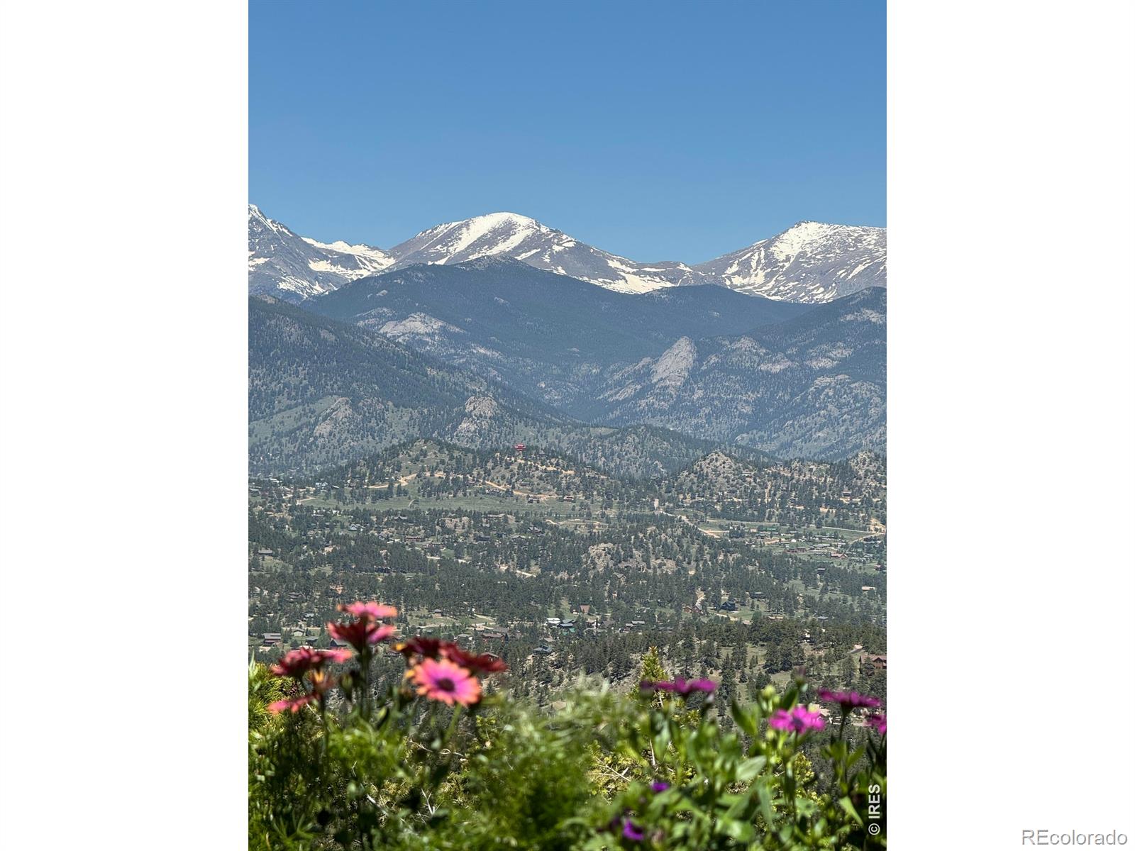 1810  Moss Rock Drive, estes park&nbsp; House Search MLS Picture