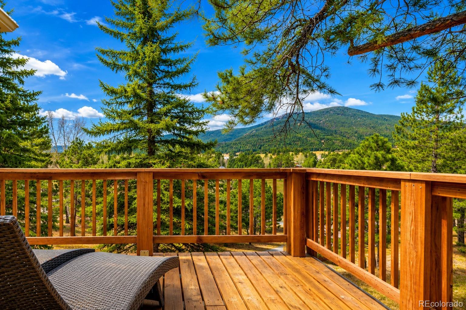 31385  Burn Lane, evergreen&nbsp; House Search MLS Picture
