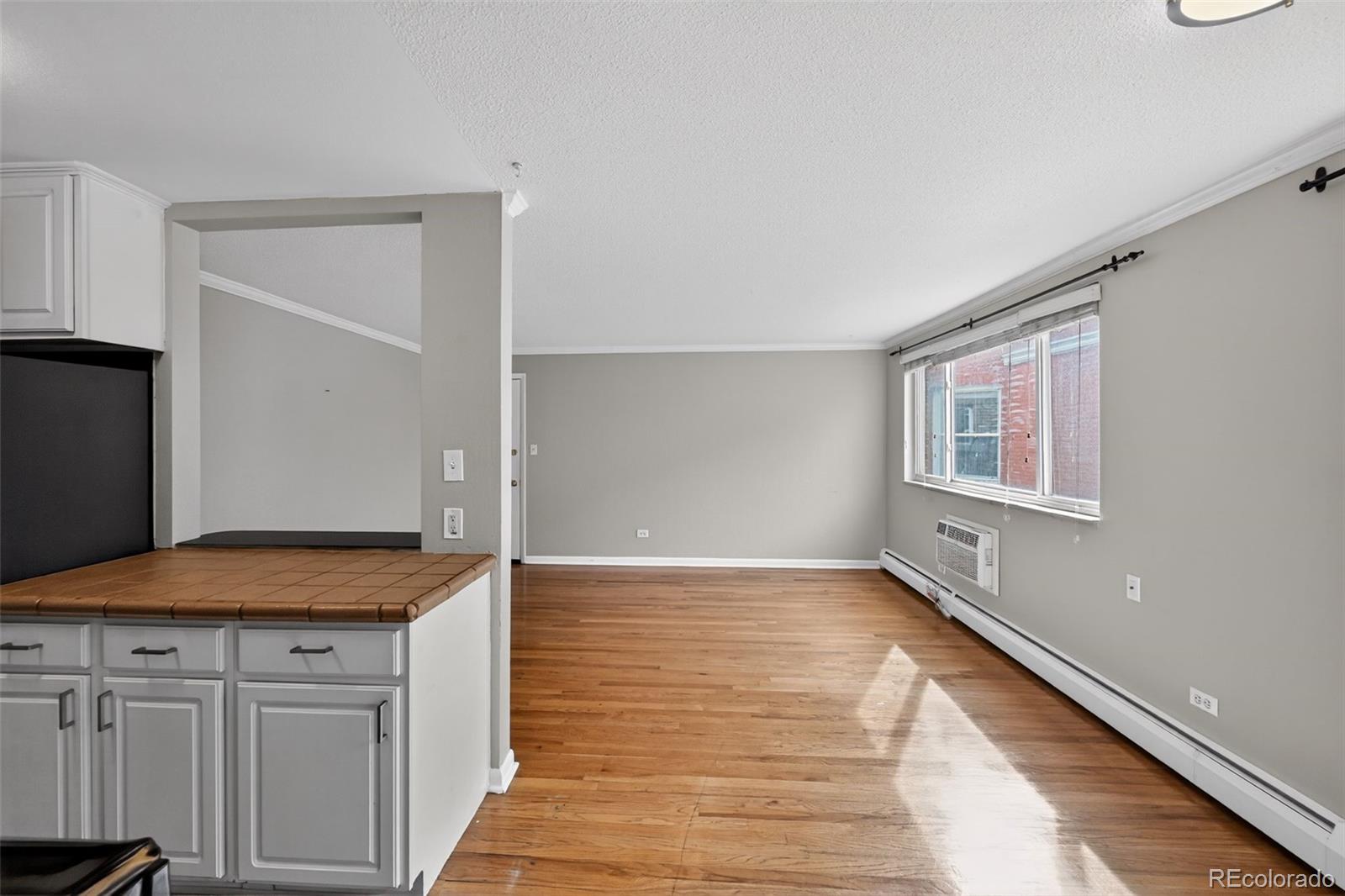 1242  Gaylord Street, denver&nbsp; House Search MLS Picture