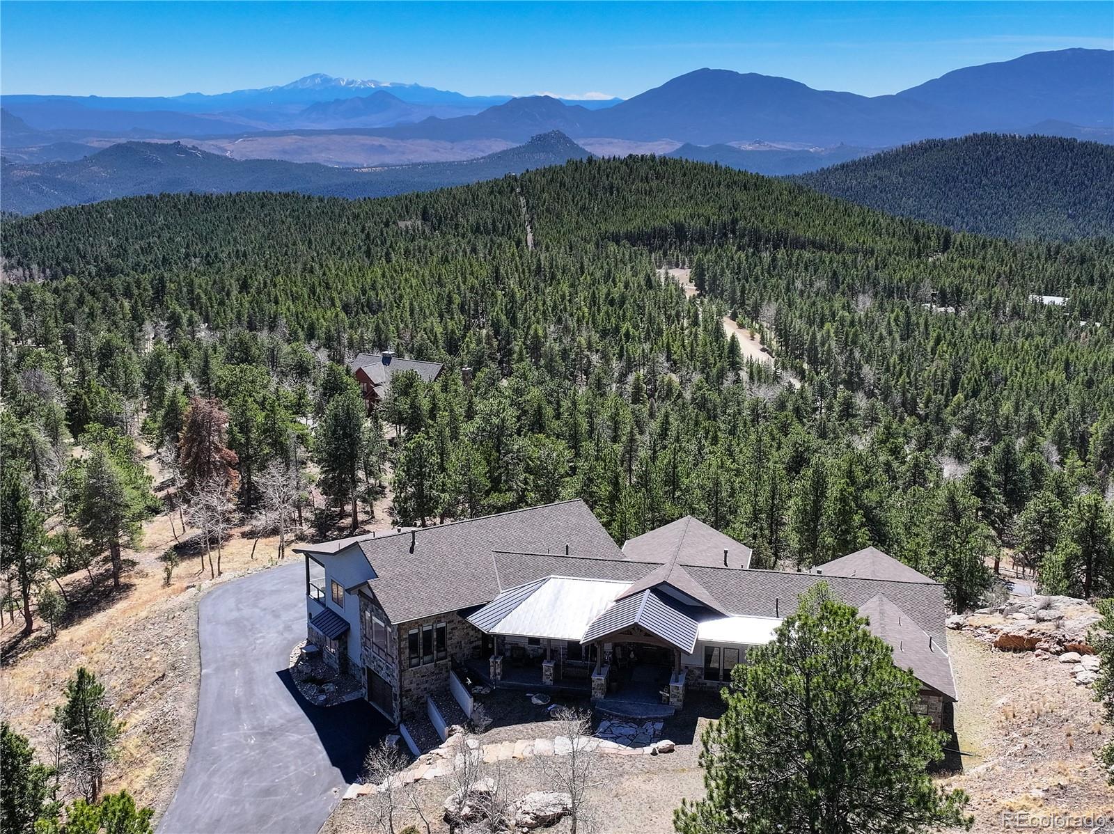 conifer&nbsp; Horse Properties Search Picture