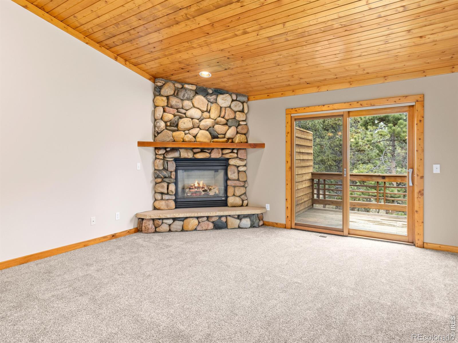 1431 S Saint Vrain Avenue, estes park&nbsp; House Search MLS Picture