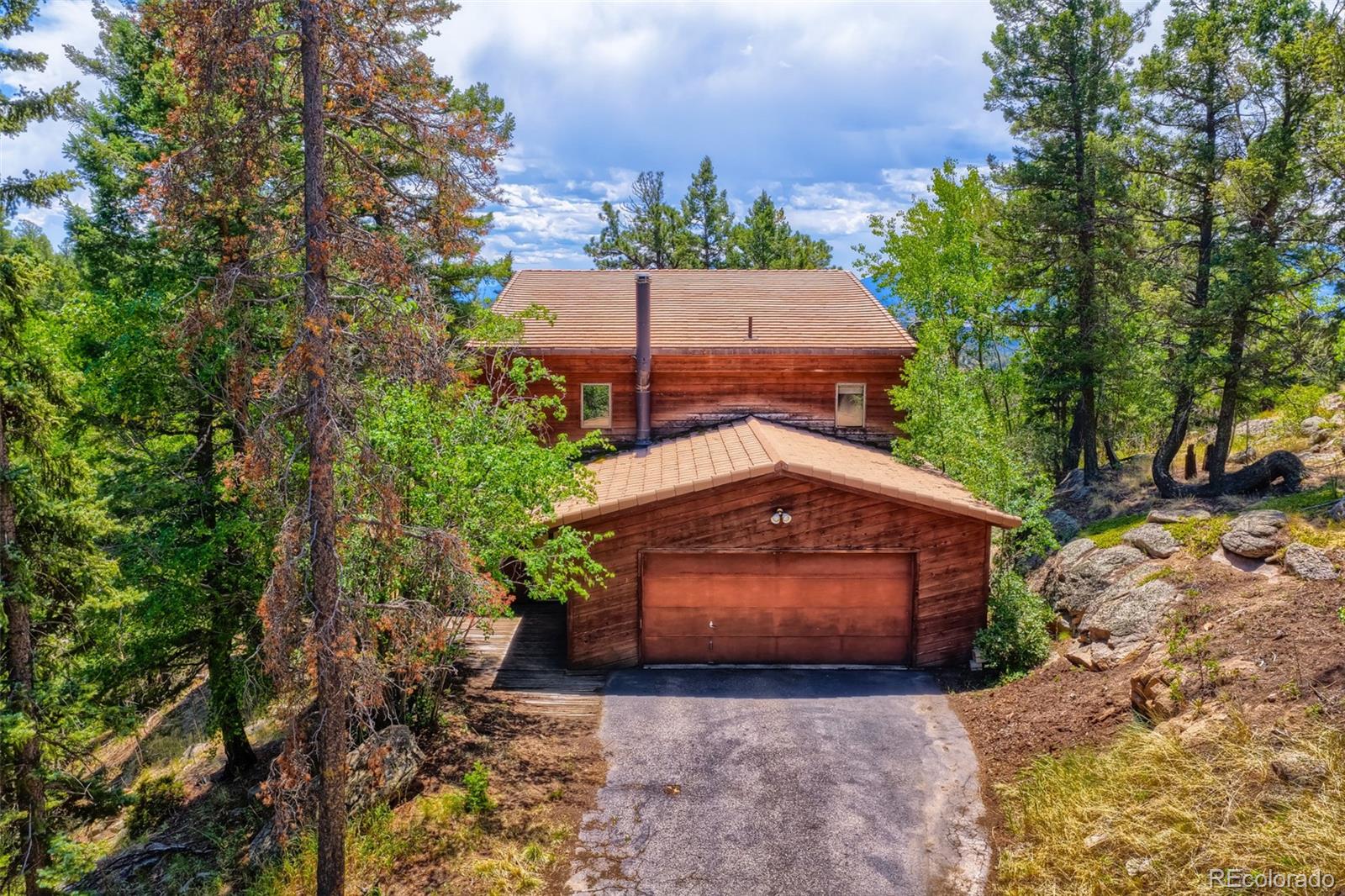conifer&nbsp; House Search Picture