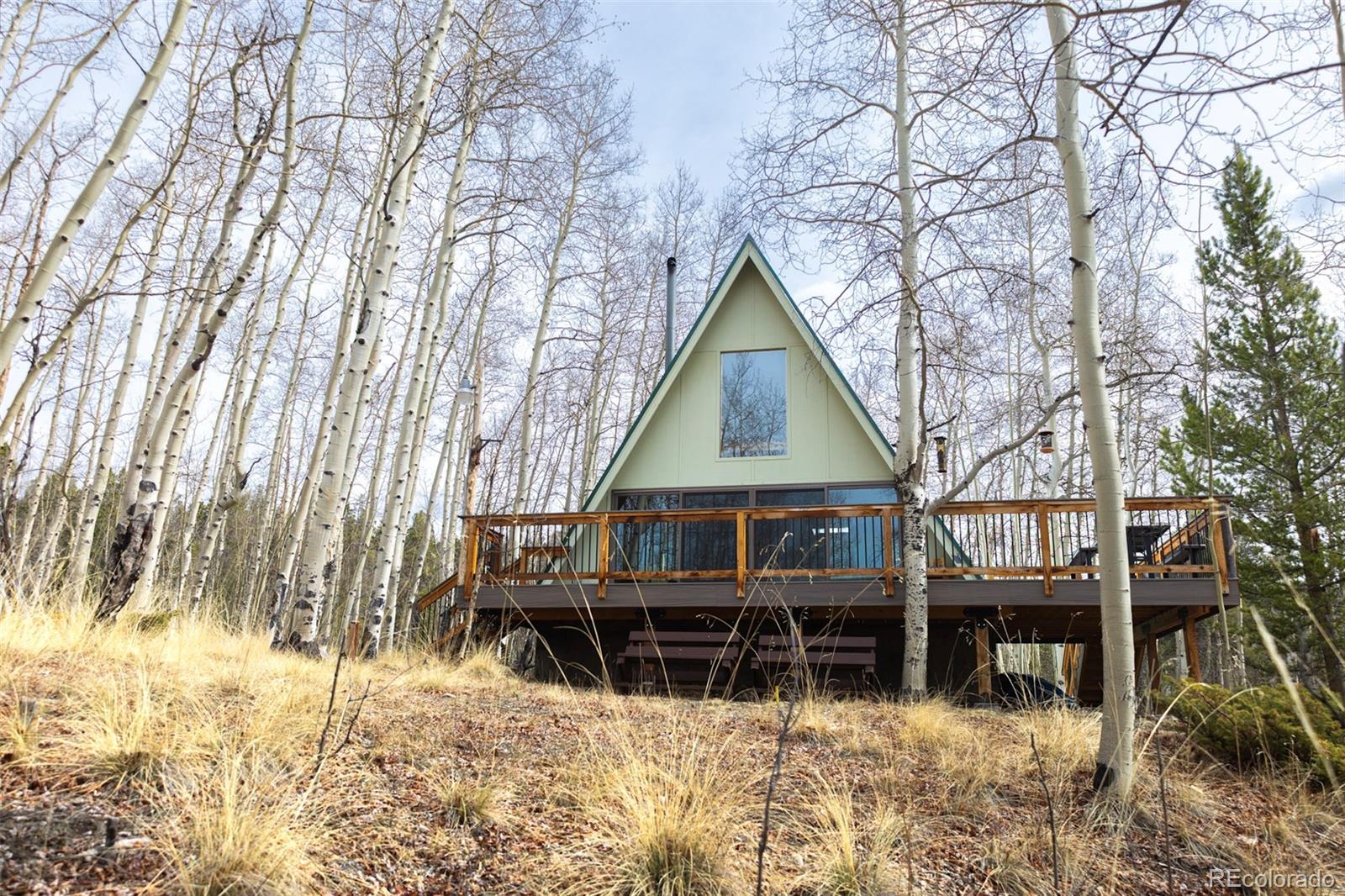 leadville&nbsp; House Search Picture