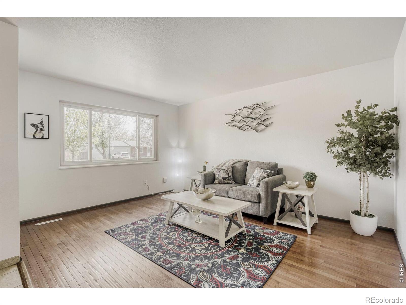 3513  Kingston Circle, fort collins&nbsp; House Search MLS Picture