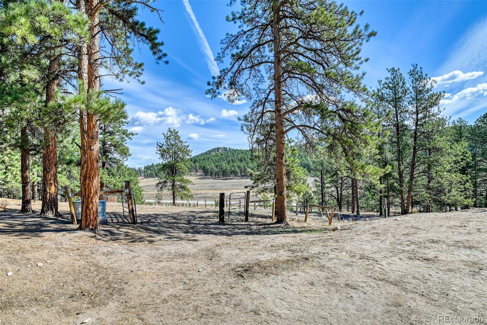 37081  County Road 77 , lake george&nbsp; House Search MLS Picture