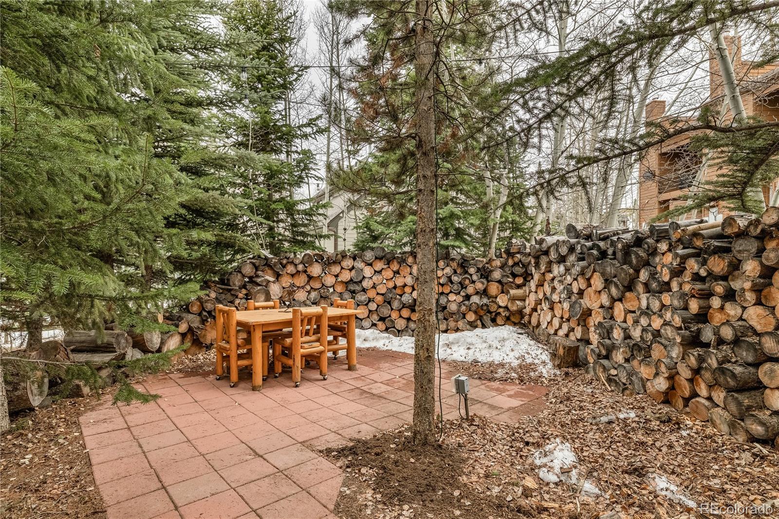 53  Burgundy Circle, silverthorne&nbsp; House Search MLS Picture