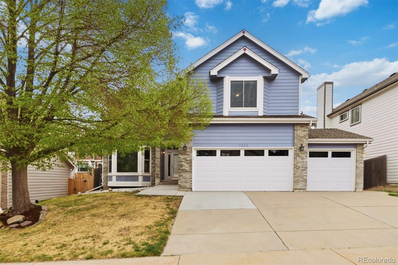 lone tree&nbsp; House Search Picture
