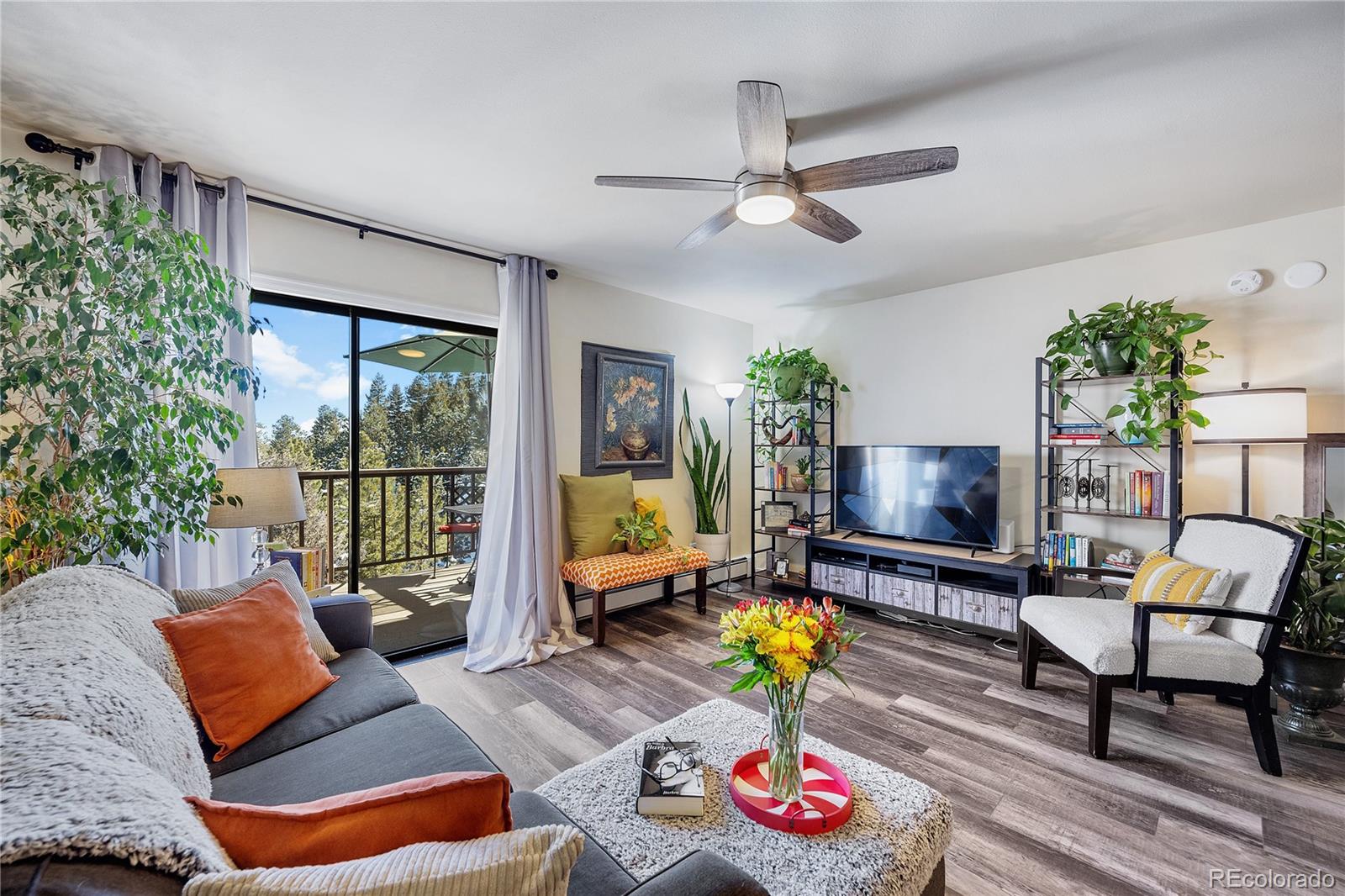 evergreen&nbsp; House Search Picture
