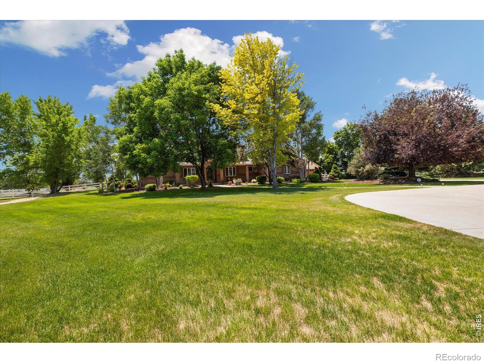 3806  Singletree Court, mead&nbsp; House Search MLS Picture