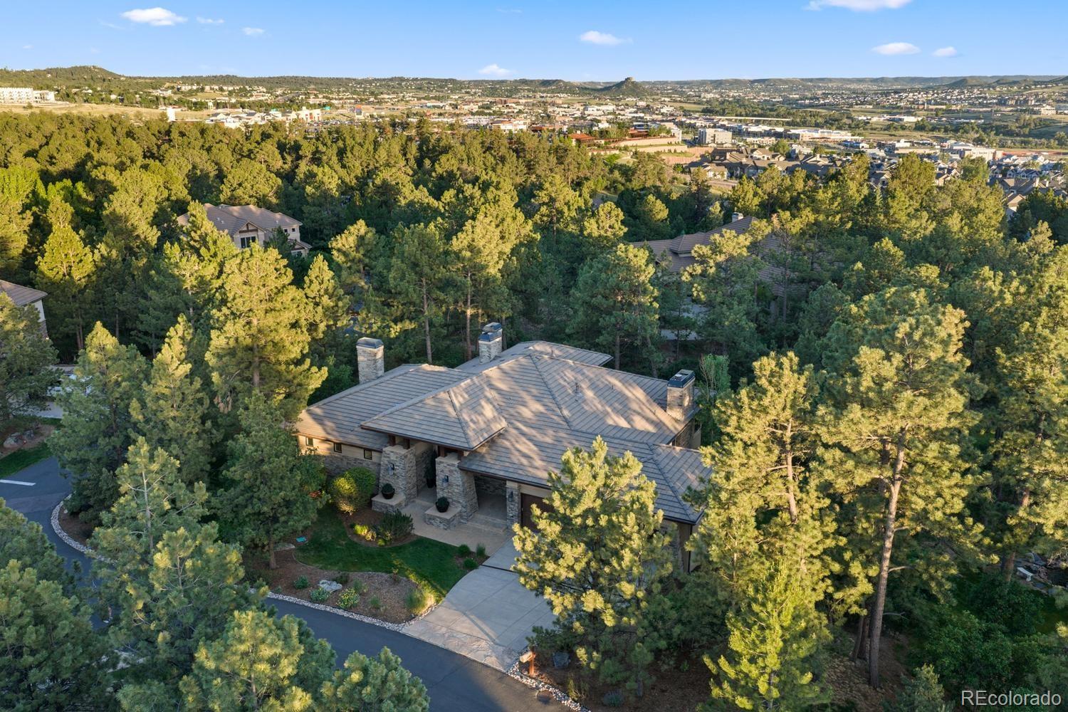 645  Ruby Trust Drive, castle rock&nbsp; House Search MLS Picture