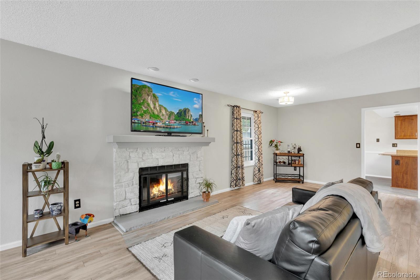 1350 S Idalia Street, aurora&nbsp; House Search MLS Picture