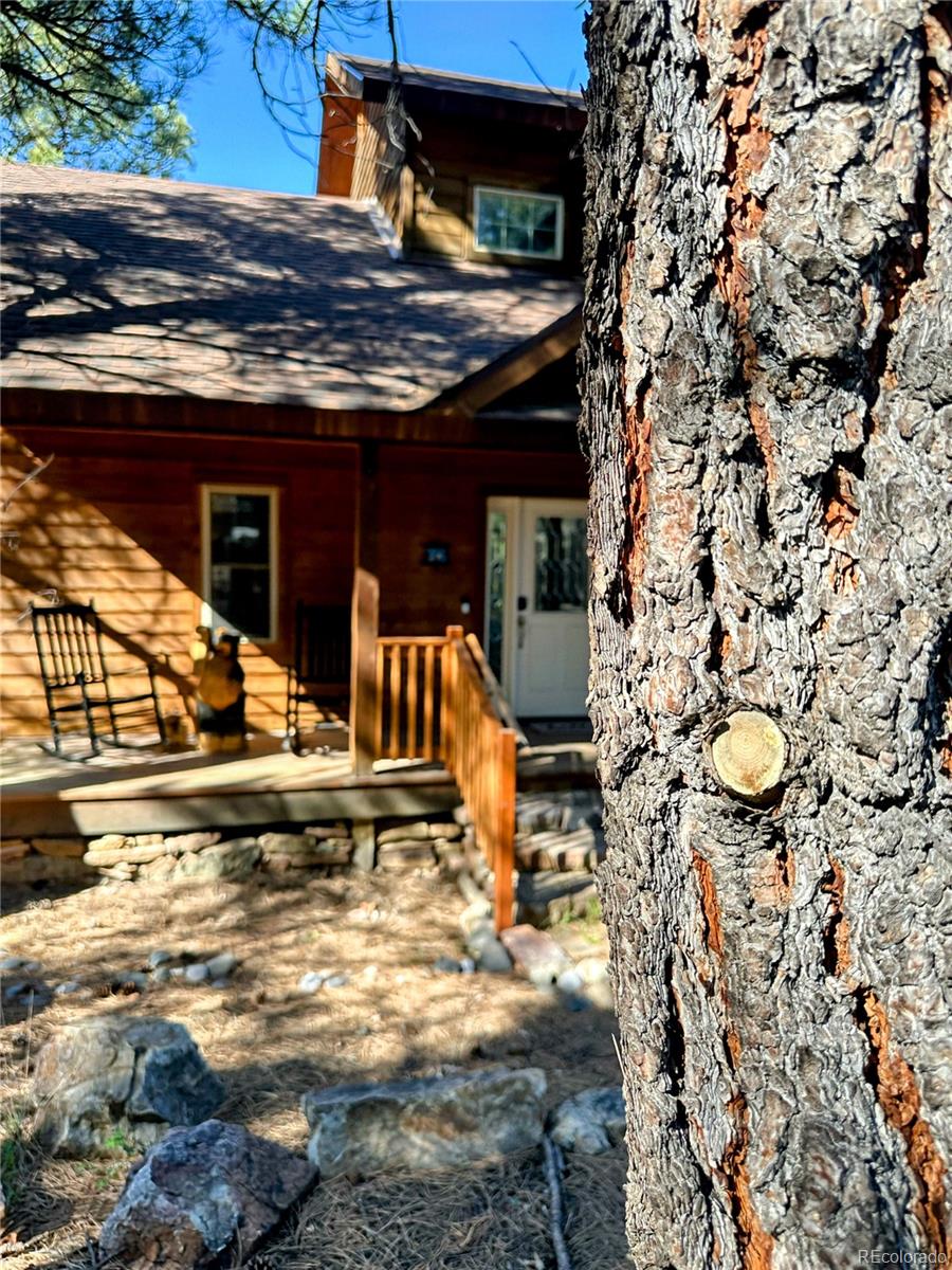 62  Masters Circle, pagosa springs&nbsp; House Search MLS Picture
