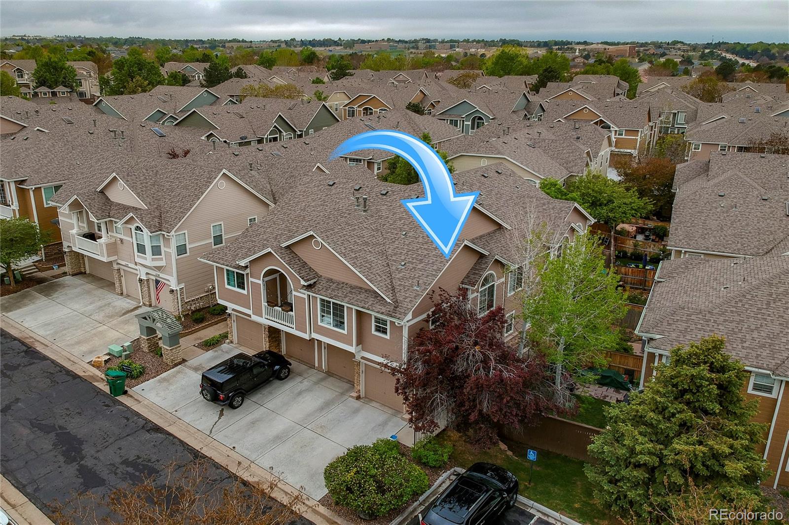 1234  Carlyle Park Circle, highlands ranch&nbsp; House Search MLS Picture