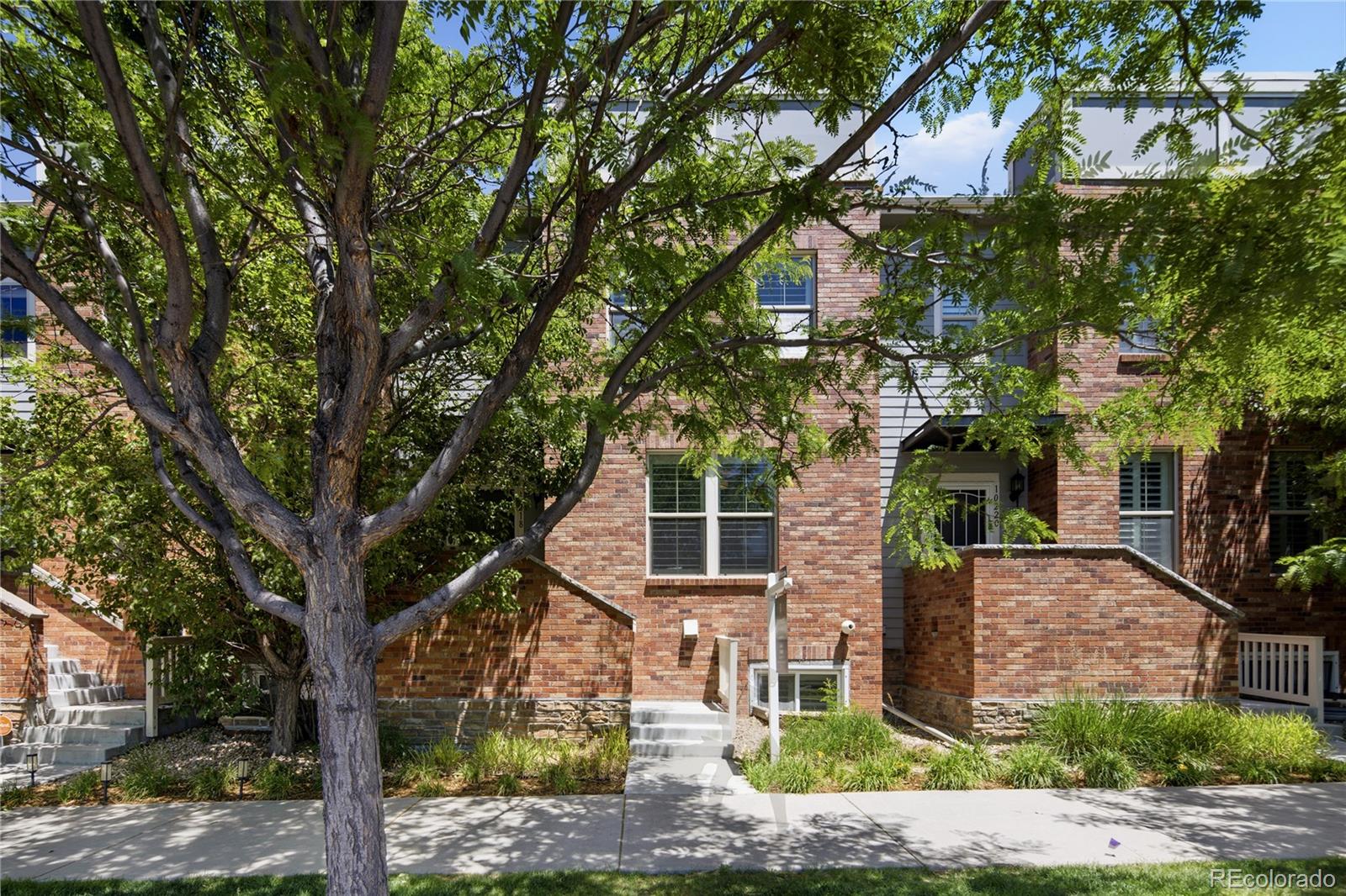 lone tree&nbsp; House Search Picture