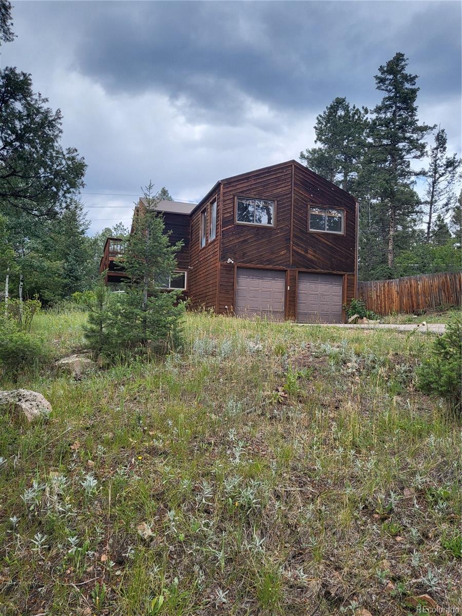 conifer&nbsp; House Search Picture