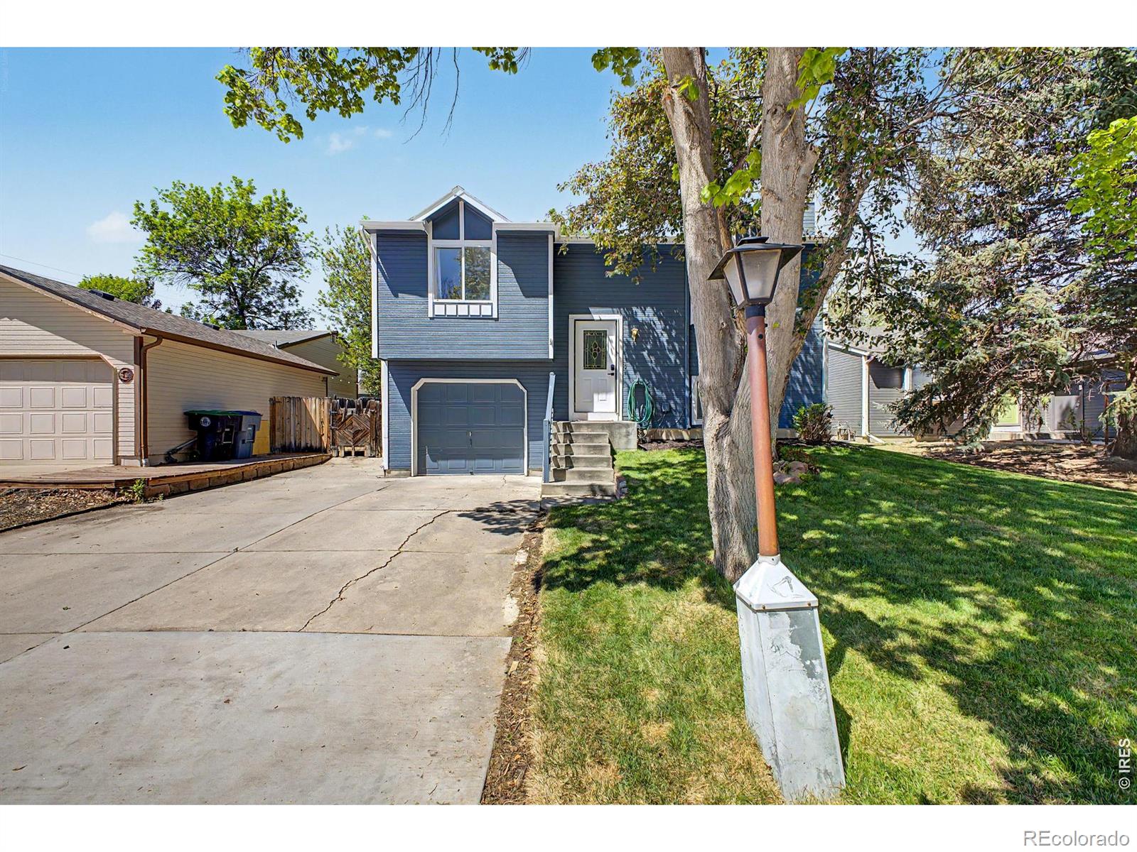 2185  Hackberry Circle, longmont&nbsp; House Search MLS Picture