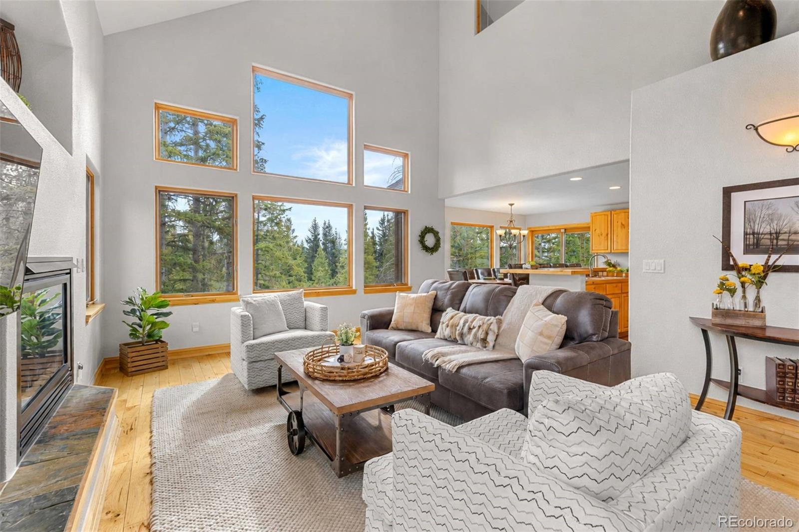 silverthorne&nbsp; House Search Picture