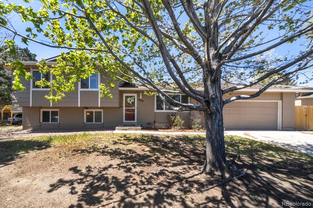 colorado springs&nbsp; House Search Picture