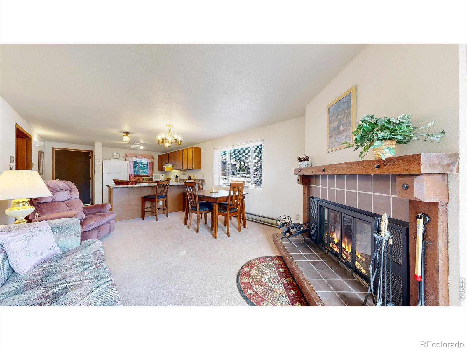 1730  Raven Avenue, estes park&nbsp; House Search MLS Picture