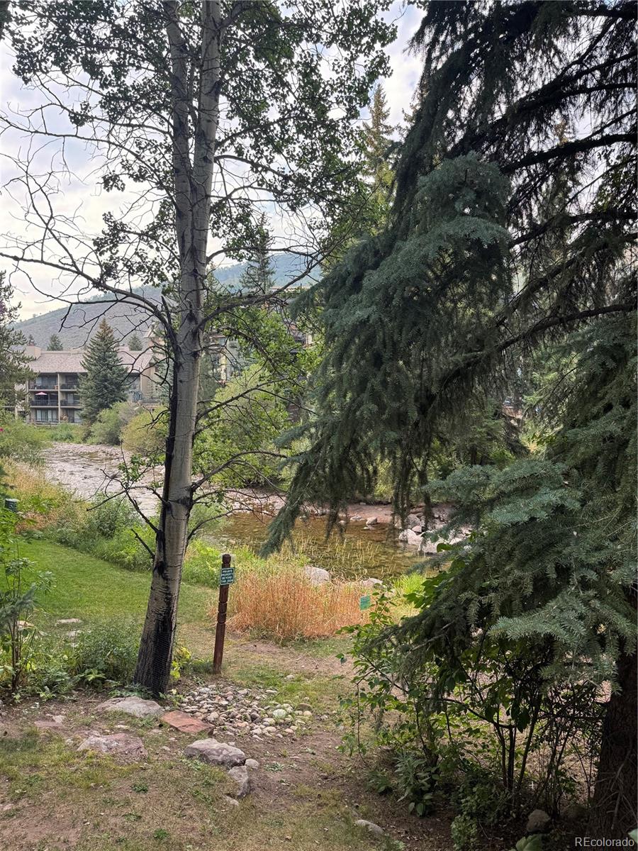 123  Willow Place, vail&nbsp; House Search MLS Picture
