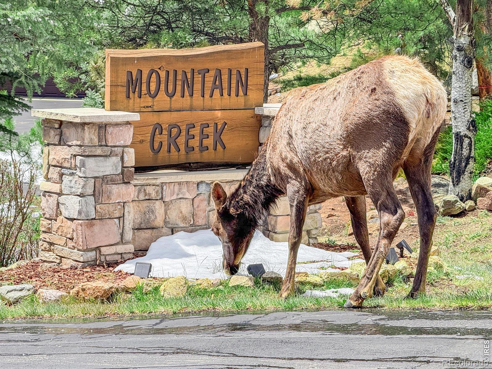 262  Steamer Court, estes park&nbsp; House Search MLS Picture