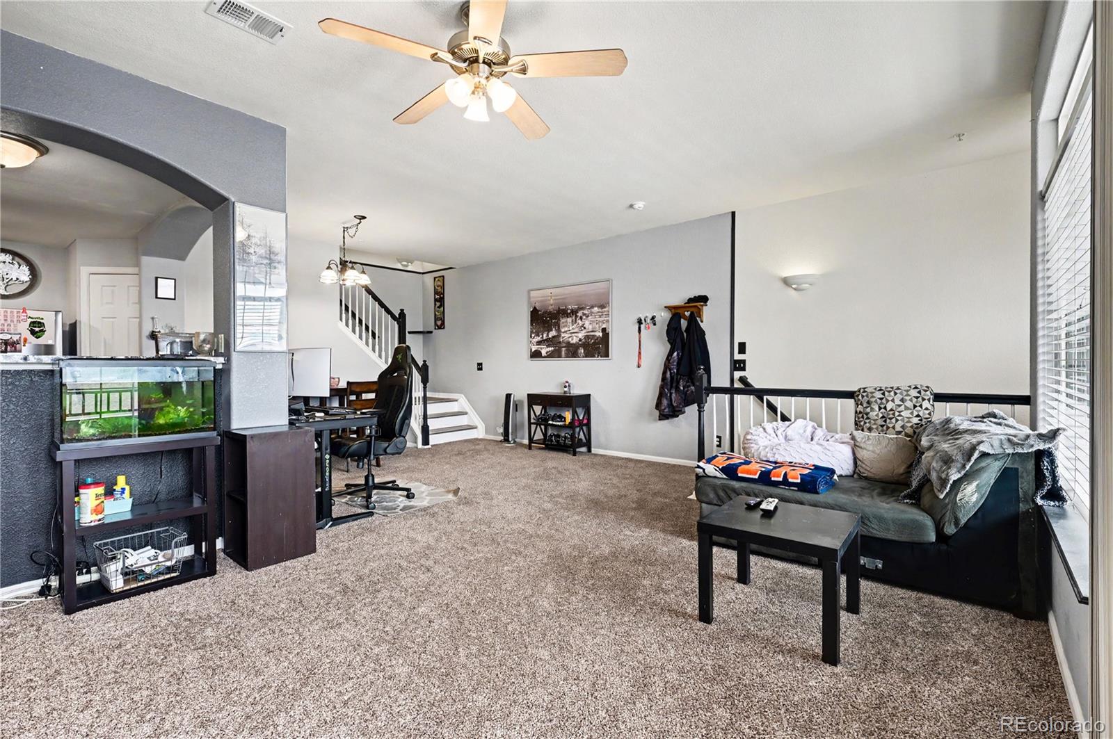 494  Black Feather Loop, castle rock&nbsp; House Search MLS Picture