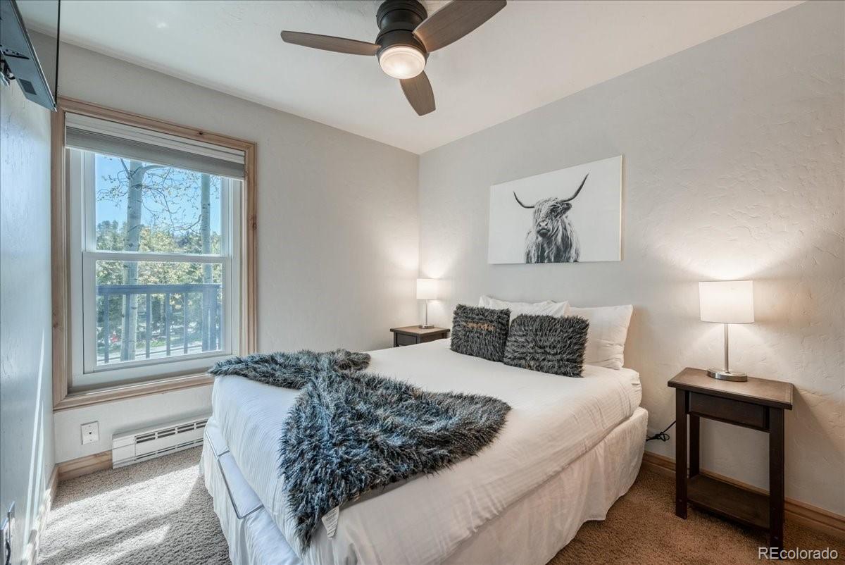 200 N Ridge Street, breckenridge&nbsp; House Search MLS Picture