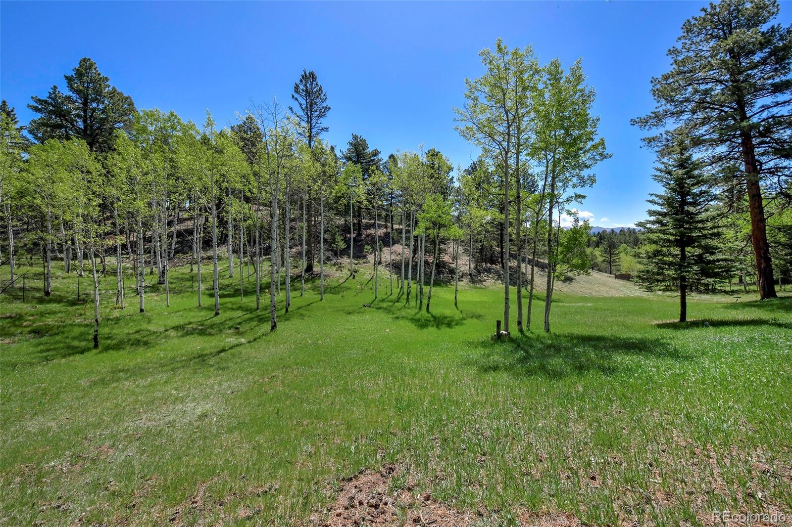 63  Star View Trail, divide&nbsp; House Search MLS Picture