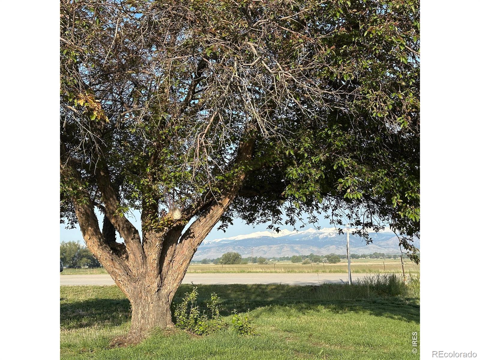 longmont&nbsp; House Search Picture