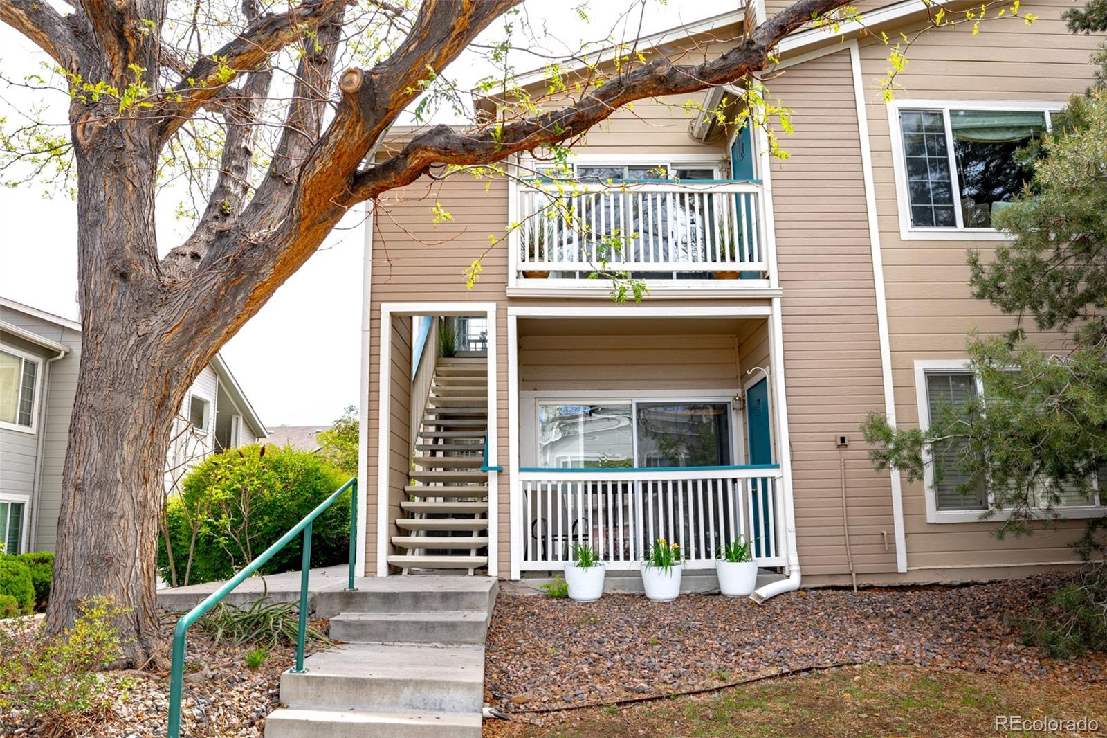 3847  Mossy Rock Drive, highlands ranch&nbsp; House Search MLS Picture