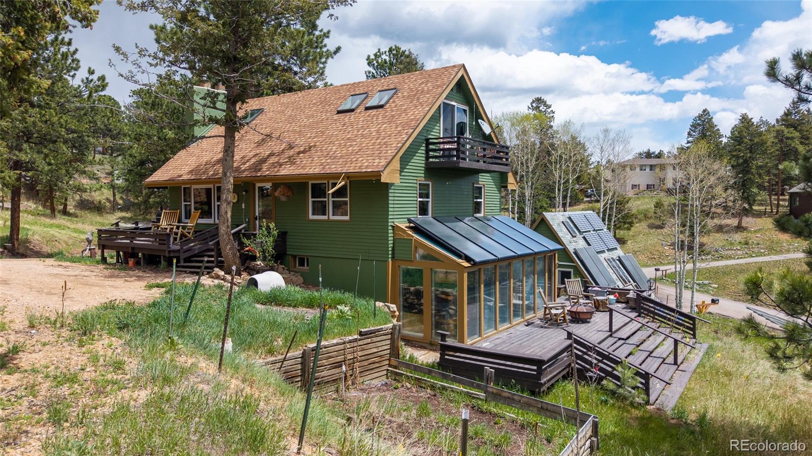 conifer&nbsp; House Search Picture