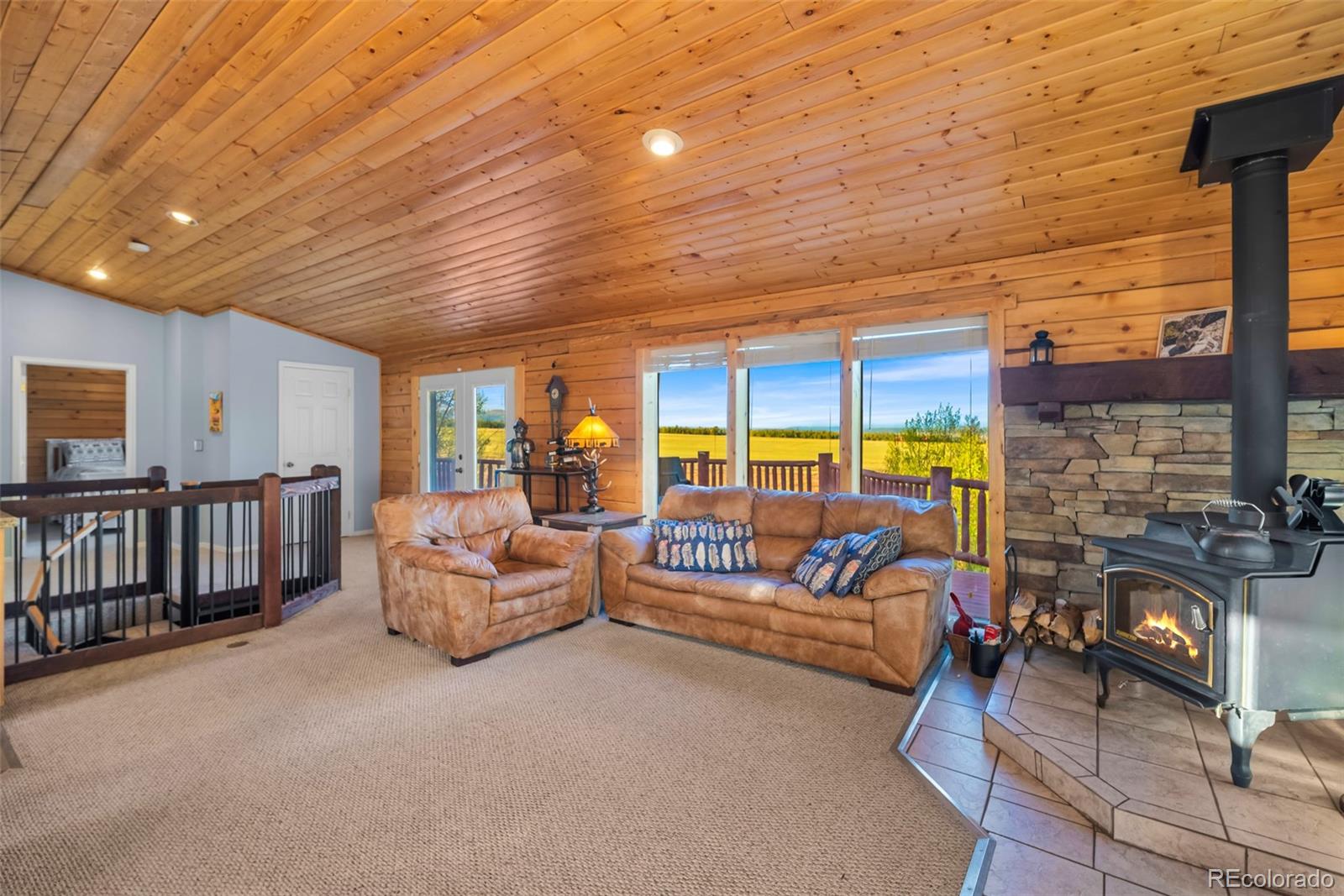 169  Fen Court, fairplay&nbsp; House Search MLS Picture