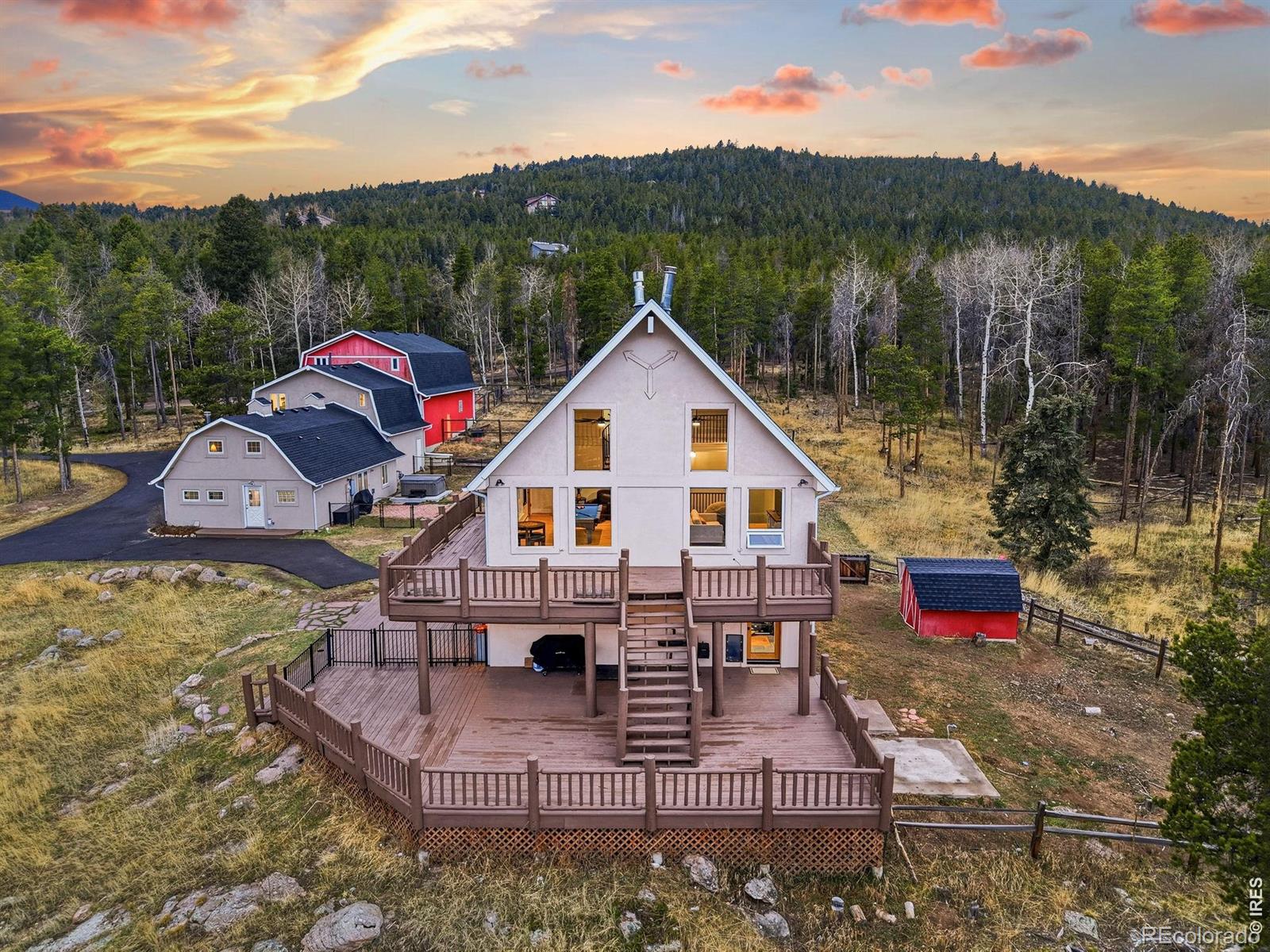 conifer&nbsp; House Search Picture