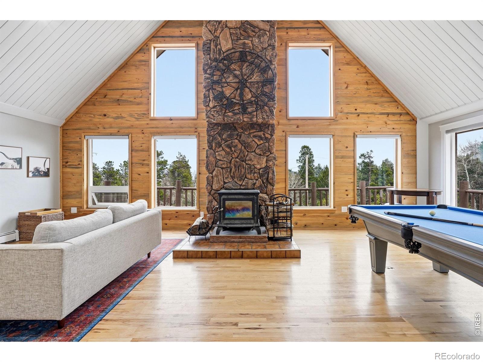 31551  Black Widow Drive, conifer&nbsp; House Search MLS Picture