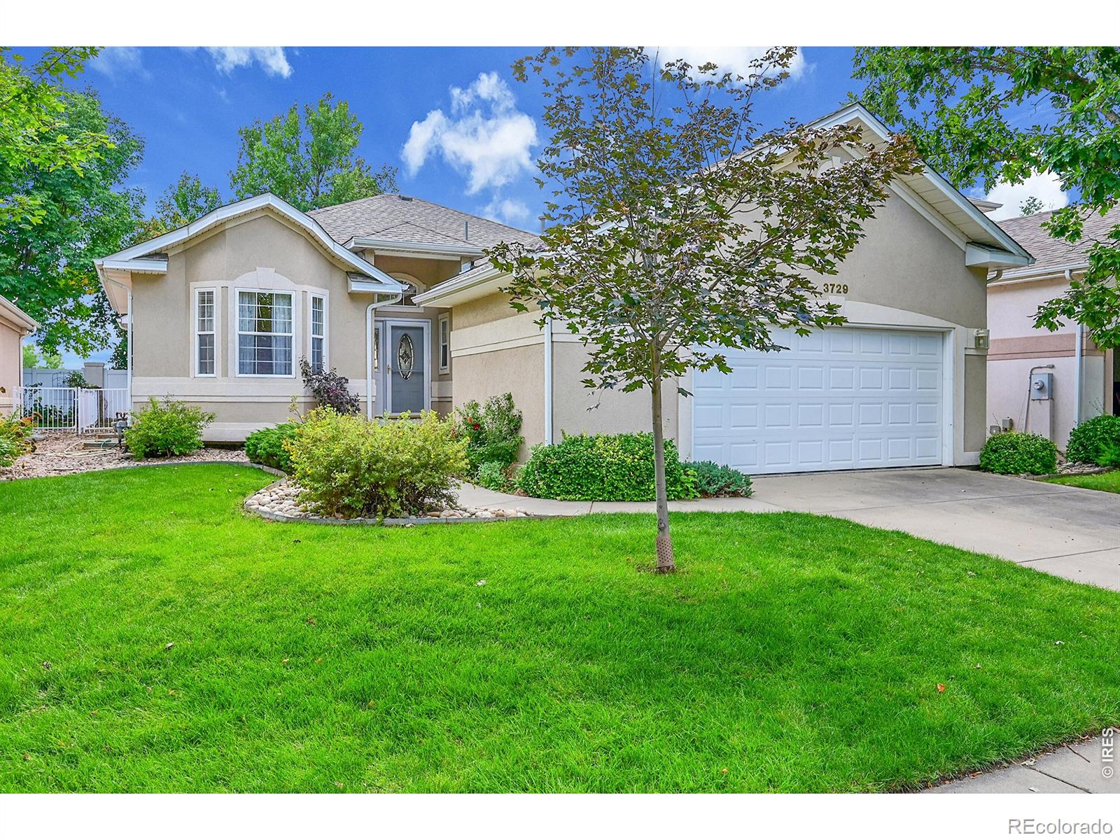 3729  Doral Drive, longmont&nbsp; House Search MLS Picture