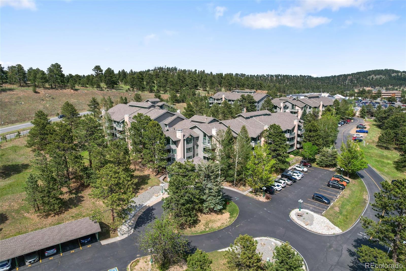 31819  Rocky Village Drive, evergreen&nbsp; House Search MLS Picture
