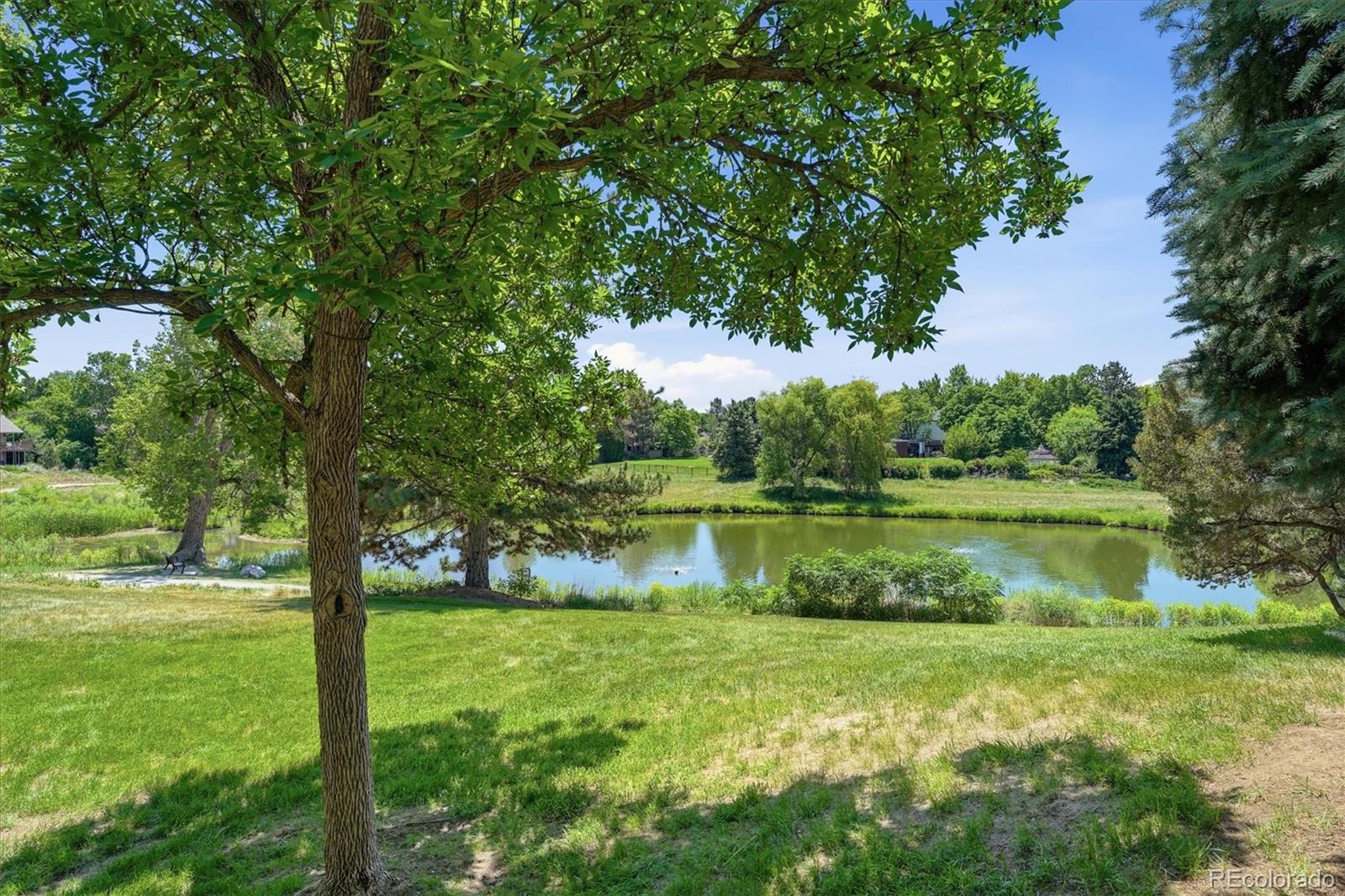 1520 W Briarwood Avenue, littleton&nbsp; House Search MLS Picture