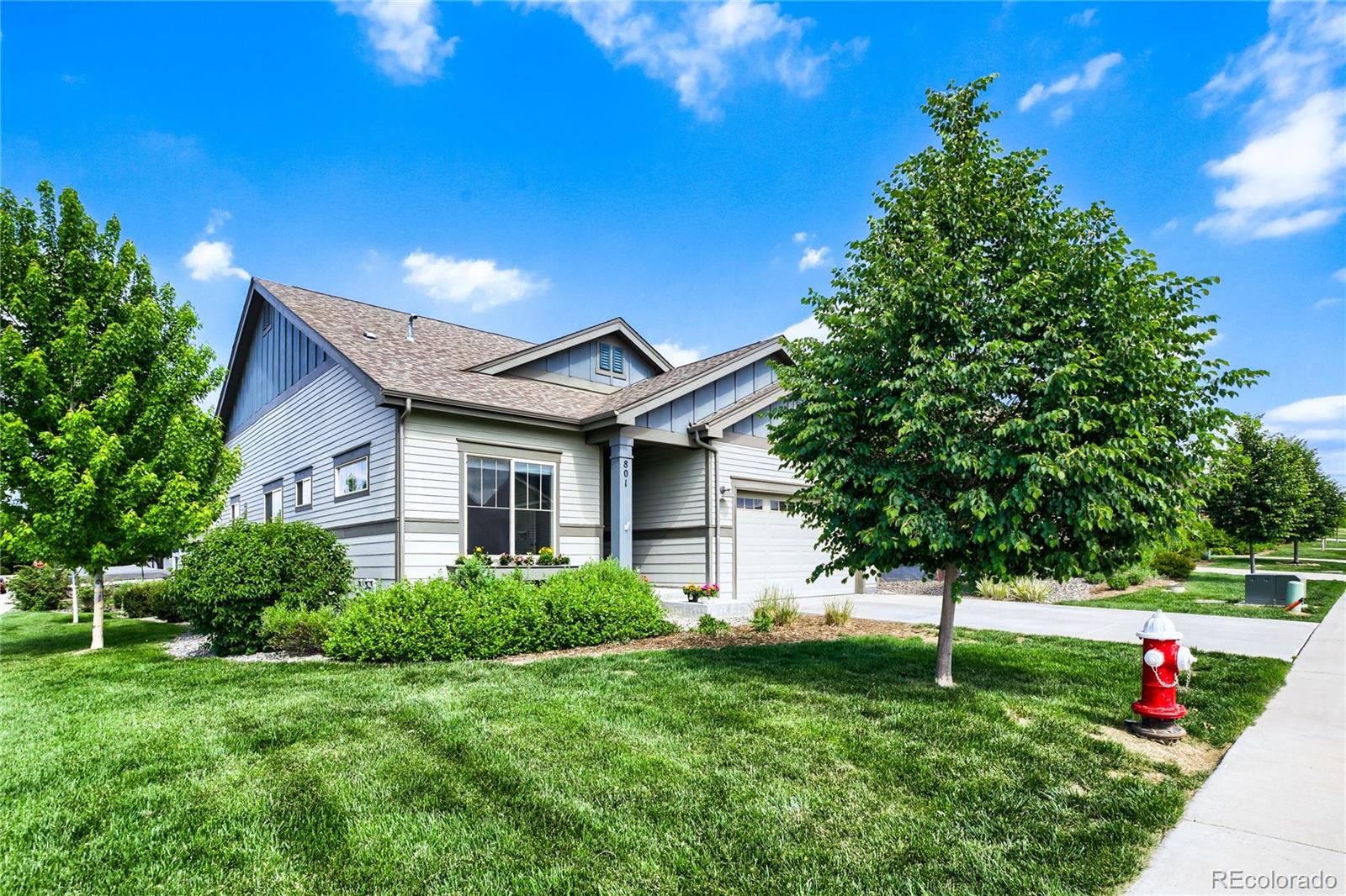 longmont&nbsp; House Search Picture