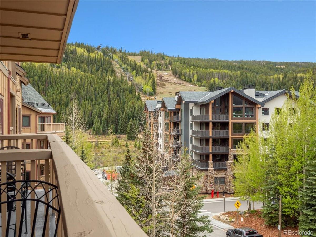 20  Hunki Dori Court, dillon&nbsp; House Search MLS Picture
