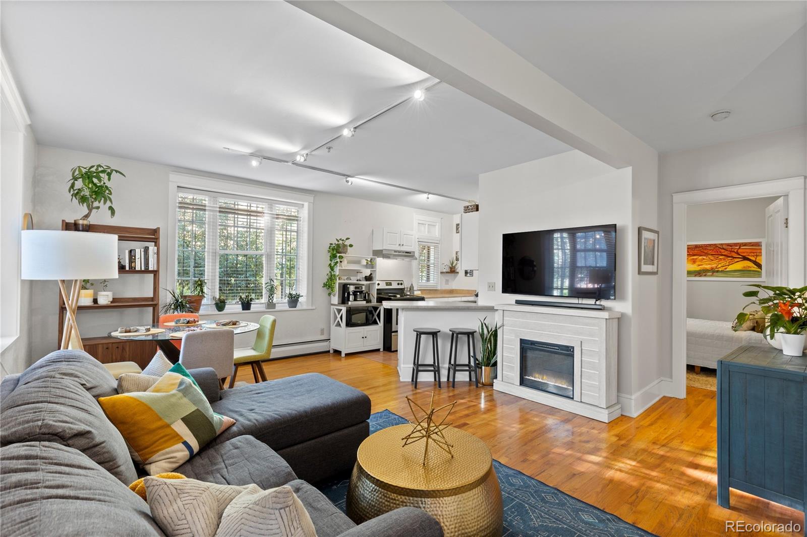 325 E 18th Avenue, denver&nbsp; House Search MLS Picture