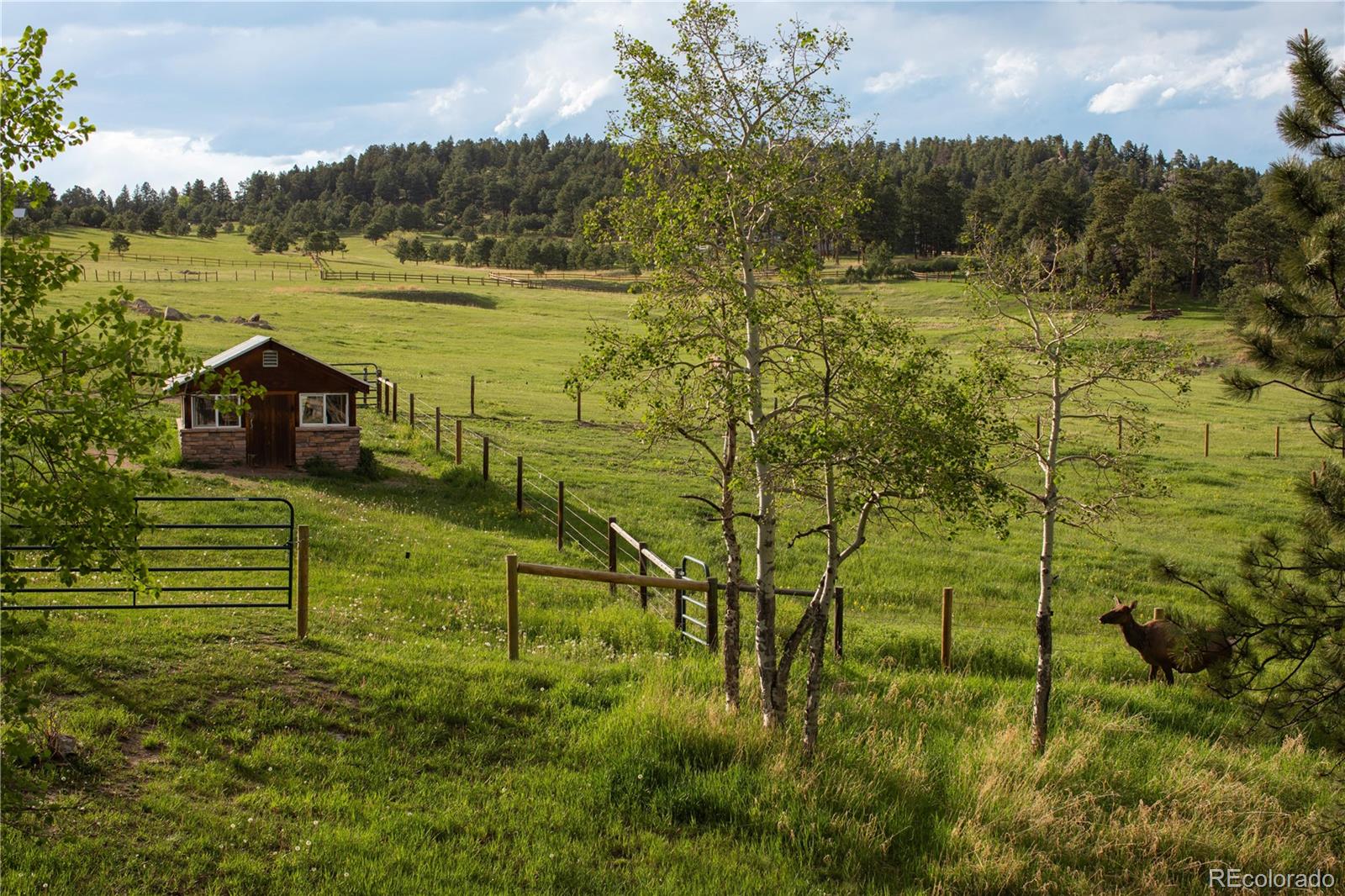 5276  Bear Mountain Drive, evergreen&nbsp; House Search MLS Picture
