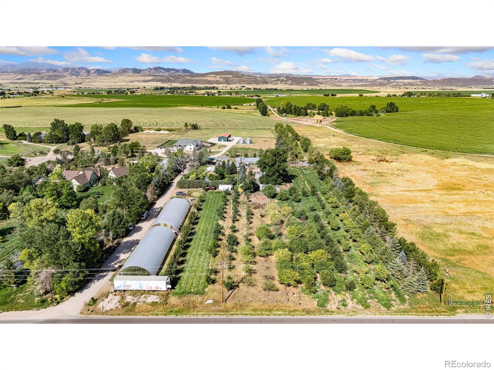 wellington&nbsp; House Search Picture
