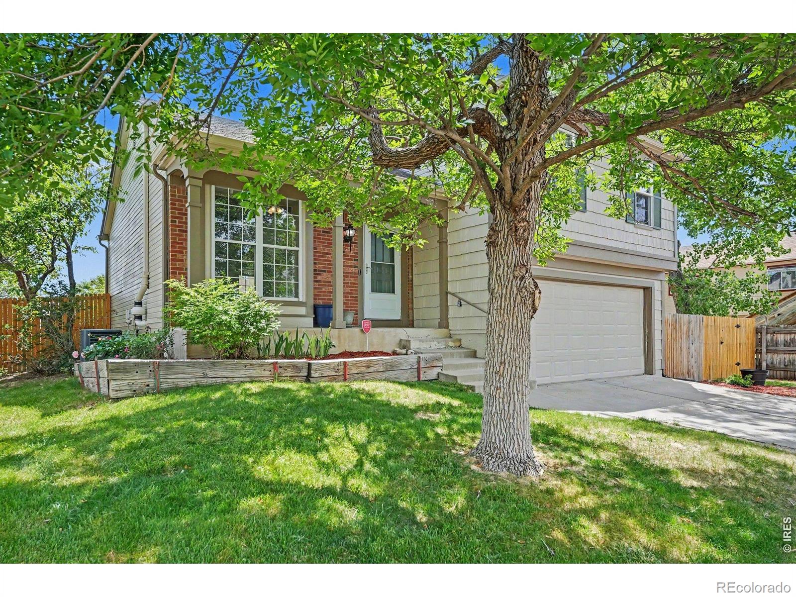 broomfield&nbsp; Coming Soon Search Picture