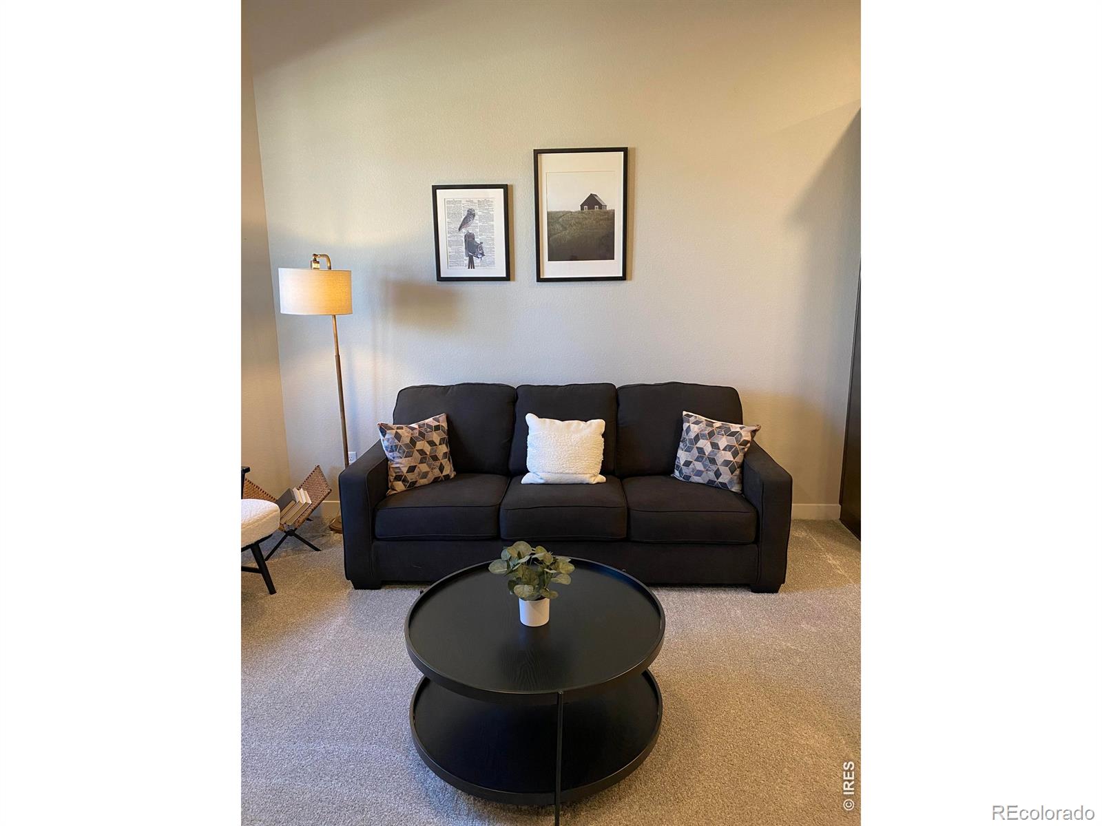 4110 S Park Drive, loveland&nbsp; House Search MLS Picture