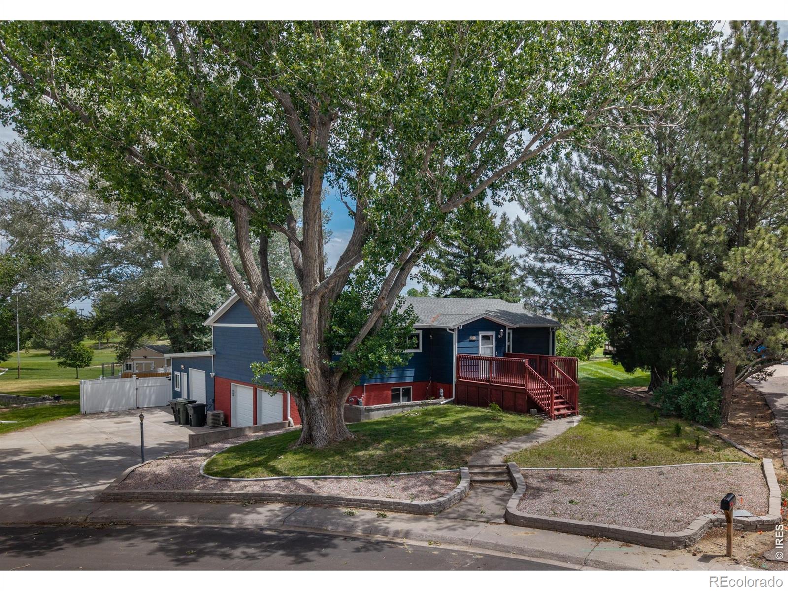 brush&nbsp; House Search Picture