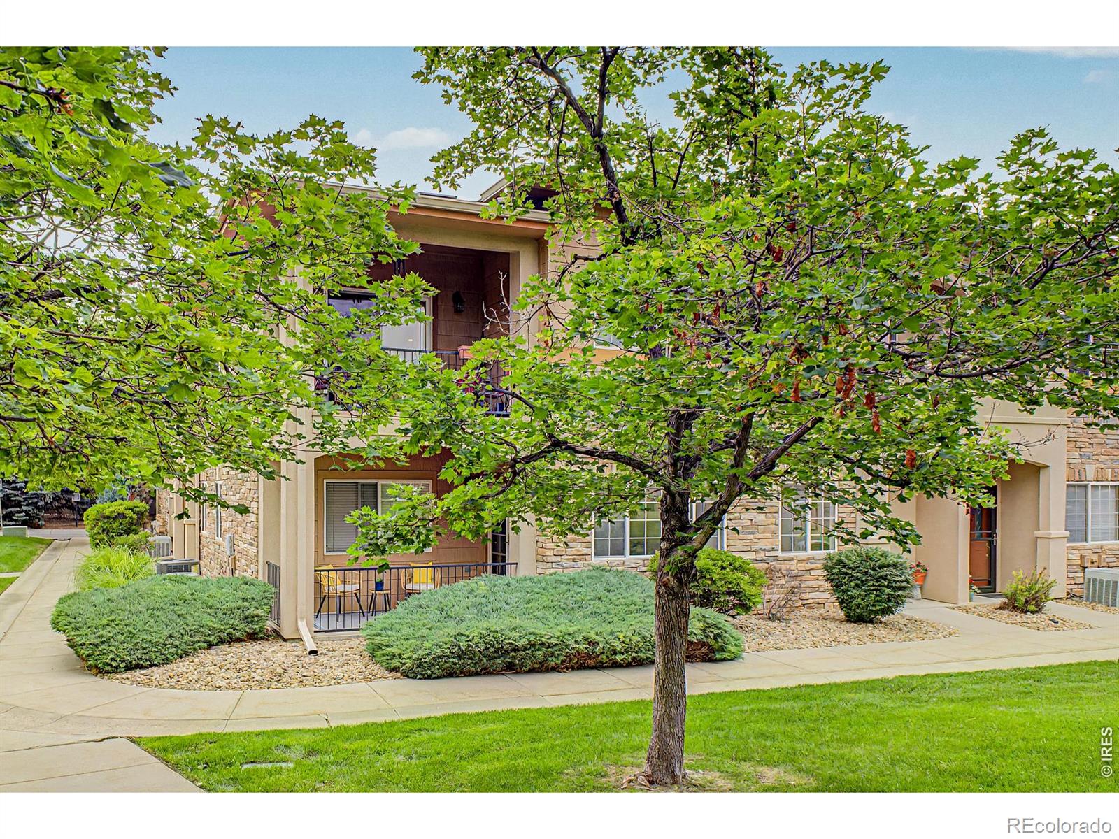 longmont&nbsp; Coming Soon Search Picture