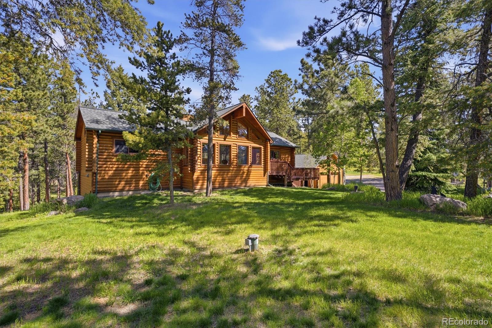 conifer&nbsp; House Search Picture